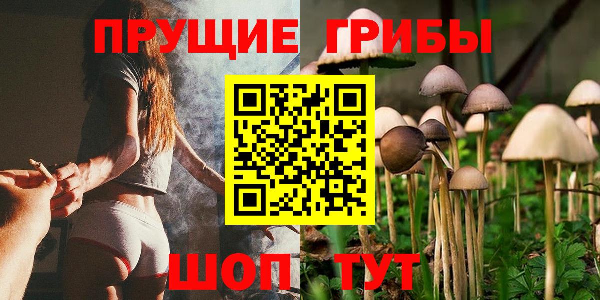 Галлюциногенные грибы MAGIC MUSHROOMS Богородск